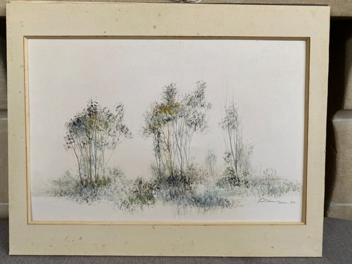 Magnifique aquarelle signé - magnifique,