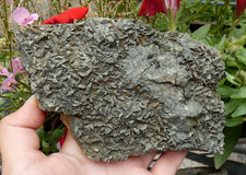 Rare Large Marcasite Plate 13x9cm Marcasite Minerals Stone Collection