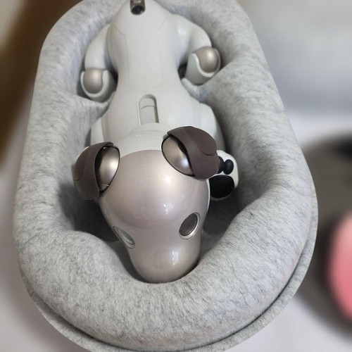 Sony aibo ers 1000 companion - sony,