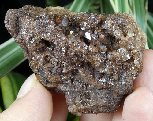 Fluorite cubique galène - fluorite,