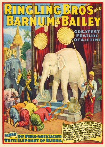 Barnum bailey cirque elephant - cirque,