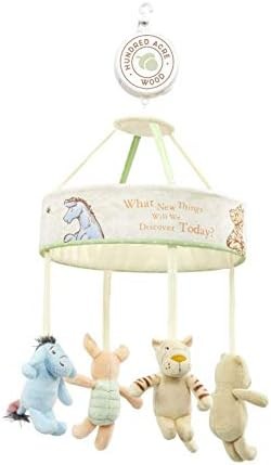 Rainbow designs hundred acre - rainbow,
