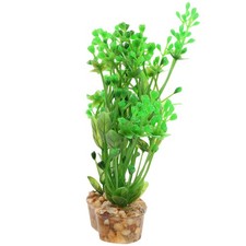  Décoration Aquarium Du