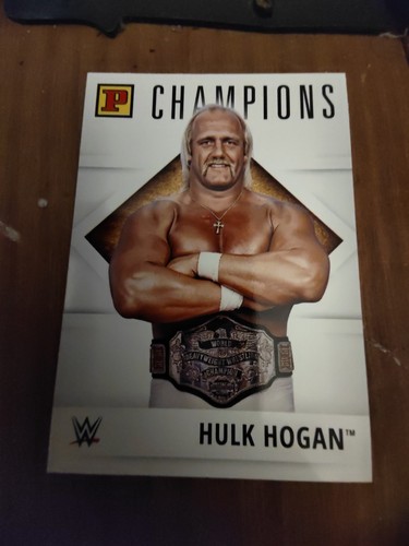 Hulk hogan carte - hulk, champion