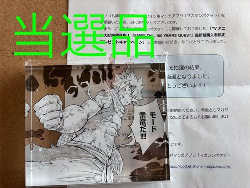 Fairy tail 100 - fairy,