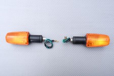 Paire Clignotants Avant