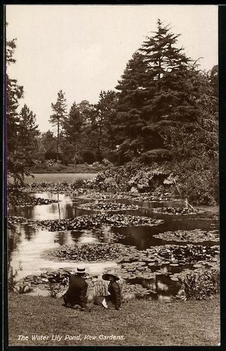 Kew gardens the - kew, water