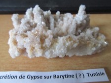 CONCRETION DE GYPSE SUR BARYTINE ( ? ) TUNISIE. - 167 Grs. /  9 x 5 cm env.