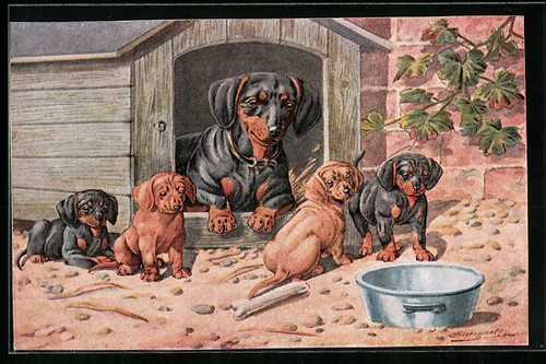 Carte postale mère teckel - , en