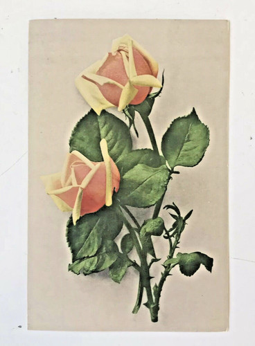 Carte postale ancienne - carte,