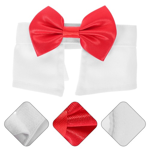 Collerette pour chien - ,
