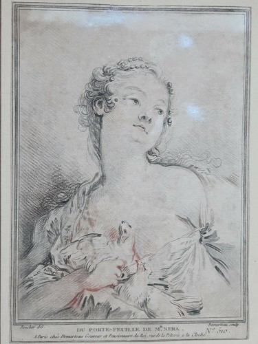 Elegante colombe francois - elegante,