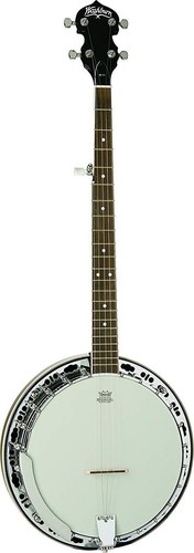 Washburn americana series - americana,
