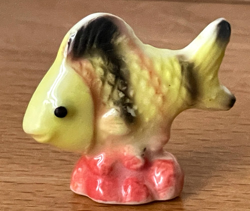 Superbe fève poisson rouge - superbe,