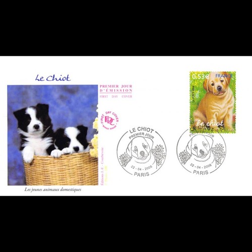 Fdc jeunes animaux - fdc,
