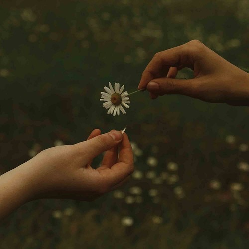 The time takes limited - the,