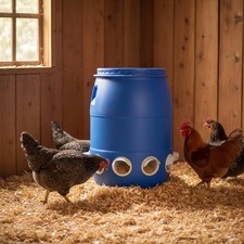 Mangeoire Automatique pour