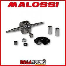 5315973 VILEBREQUIN MALOSSI
