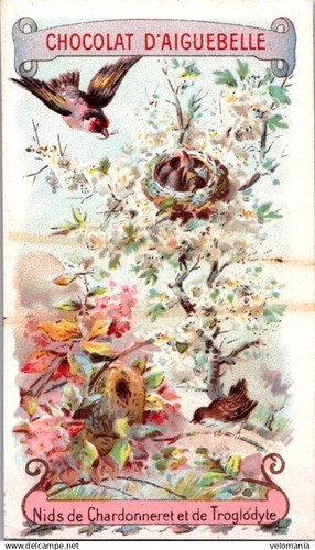 22934 chromo chocolat - chromo,