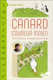 Canard coureur indien - le,