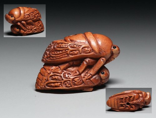 Ancien netsuke japonais cicada - ancien,