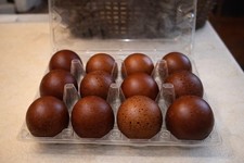 12+ Fertile Maran Hatching