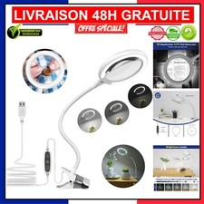 Lampe Loupe Professionnelle 3X