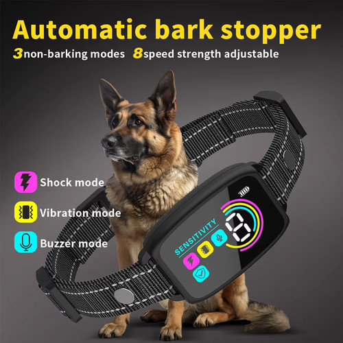 Collier dressage automatique - collier,