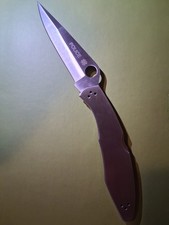 spyderco police stainless