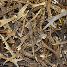 1kg MIX Cornes de Chevreuil