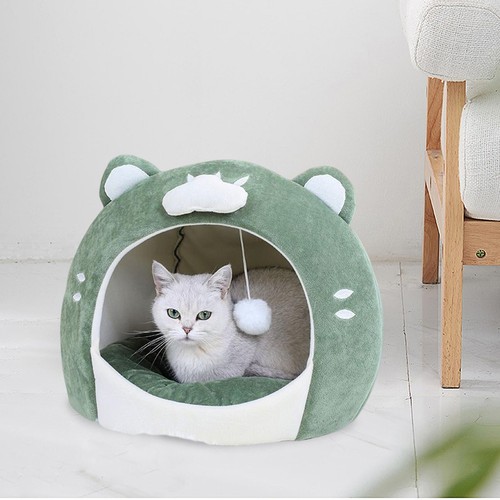 Chatons lit chat - chatons, de