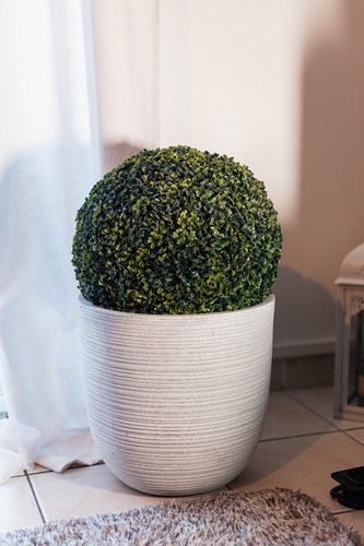 Plante artificielle boule - plante,