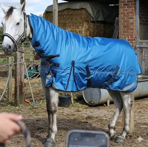Couverture cheval hiver