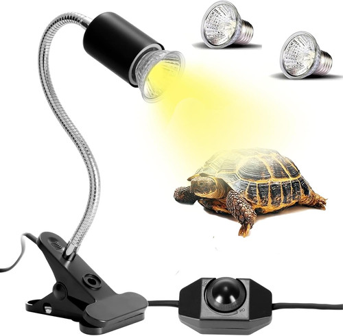 Lampe chauffante tortue - chauffante,