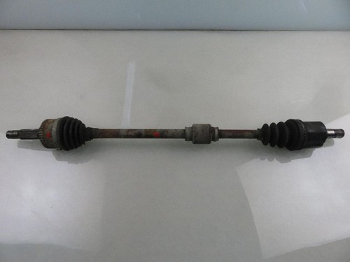 Hyundai atos prime 2004 - atos, arbre
