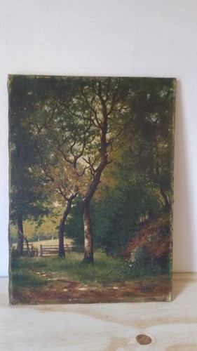 Huile sur toile sous - un, sous-bois