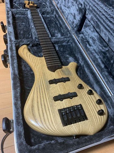 Electric bass guitar - electric,