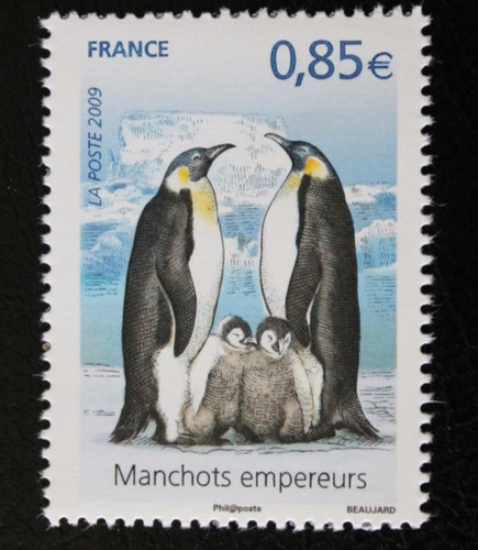 Timbre france manchots - france,