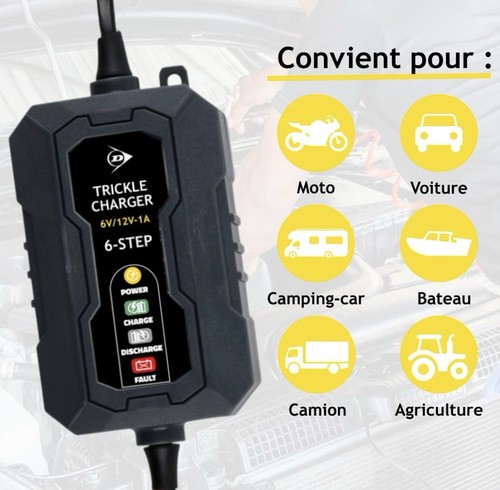 Chargeur batterie dunlop - chargeur, 6/12v