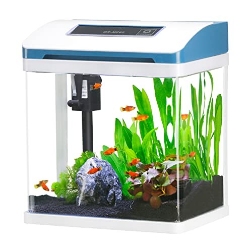 Verre mini aquarium complet - mini,