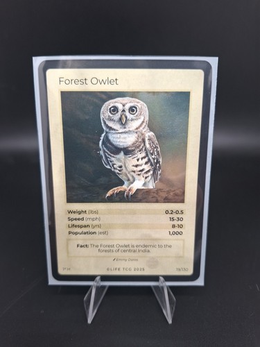 Life tcg birds forest - life, owlet