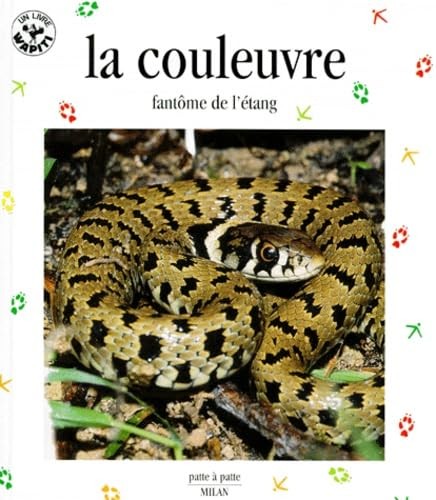 Couleuvre fantome de - fantome,