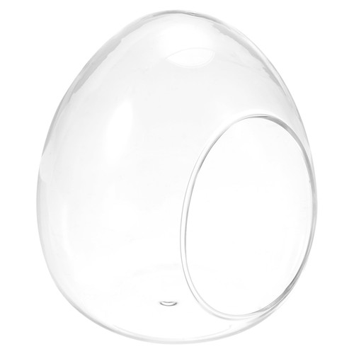 Globe terrarium air plante - air,
