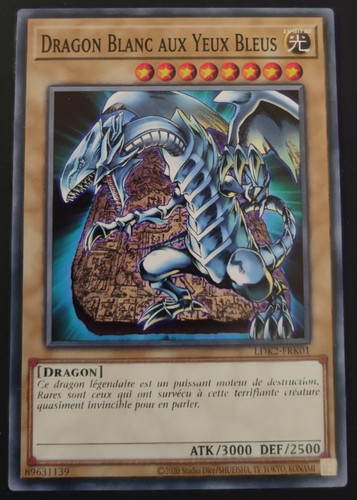 Dragon blanc aux yeux bleus - dragon,