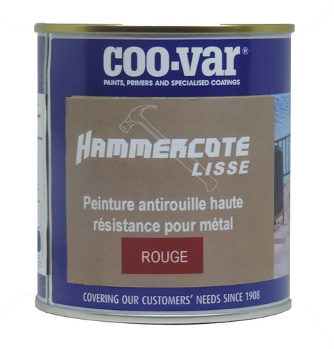 Coo var peinture métal - peinture,