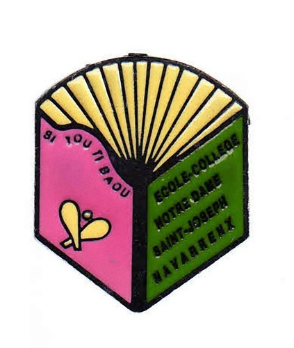Rare pins pin - rare, tourisme