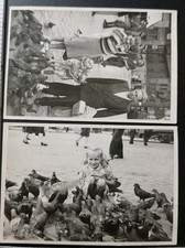 Fillette Et Pigeons 1950's X2