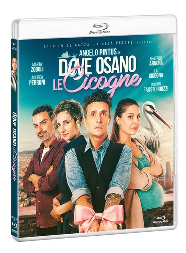 Dove osano cicogne bd - dove,