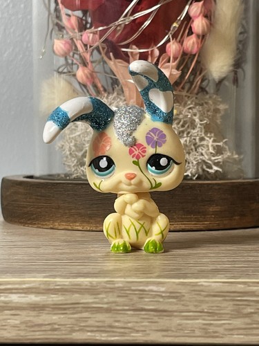 Petshop lapin garenne - 🌺petshop,