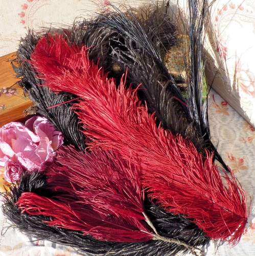 Lot anciennes plumes - 7,